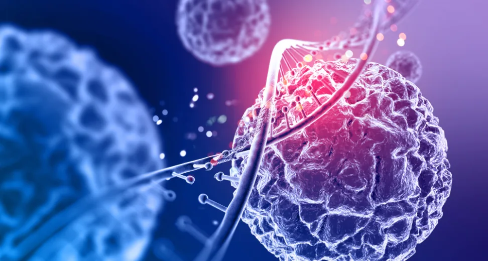 cells