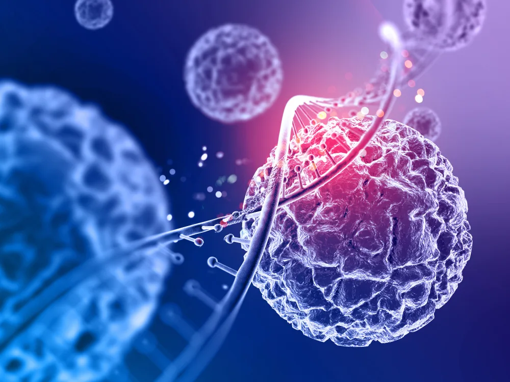 cells